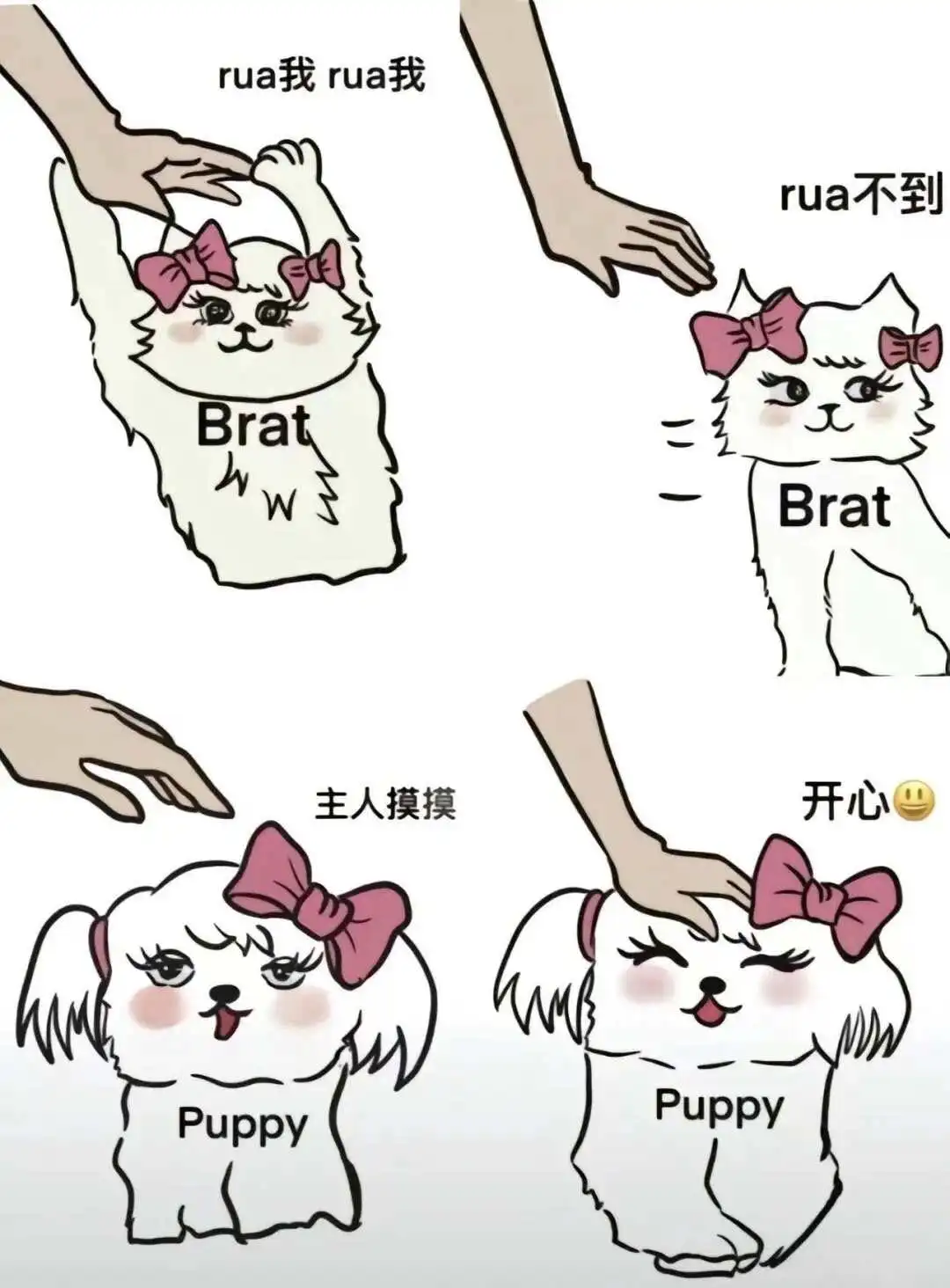 西檬之家-BD是什么？解密字母圈的亲密关系密码