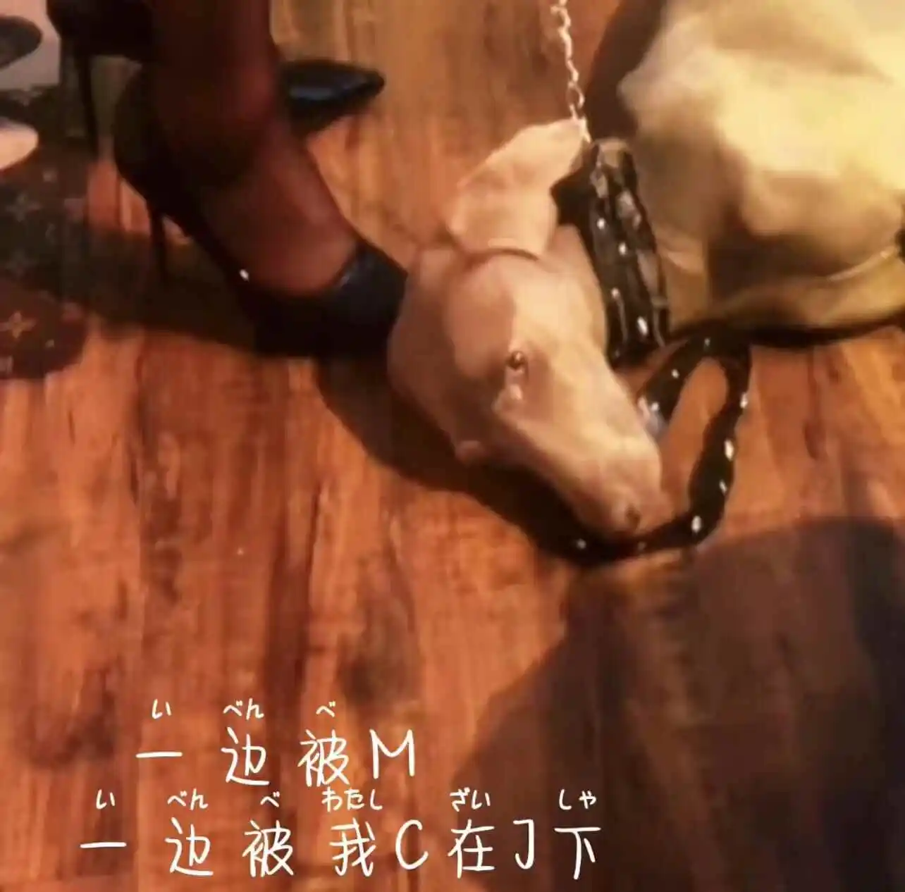 【西檬之家】TK是什么?西檬物语的BDSM轻触探索指南
