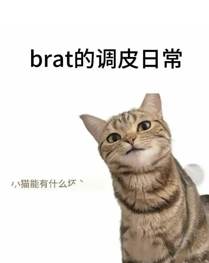 【西檬之家】字母圈新人指南：亚文化解析及实践术语说明