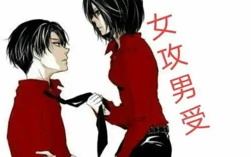西檬之家-字母圈的Dom是什么意思？