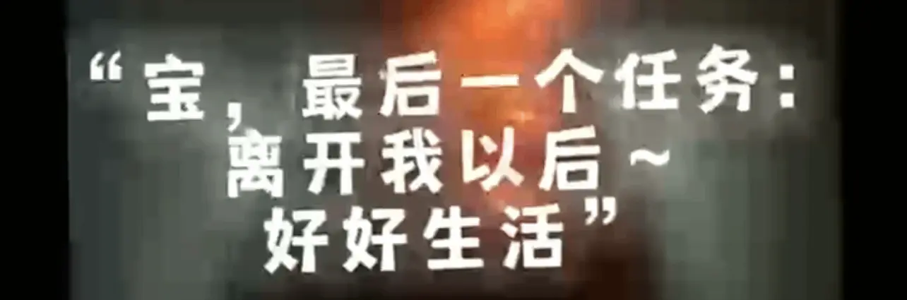 【西檬之家】K8猫系入门：字母圈新人如何理解独立宠物角色