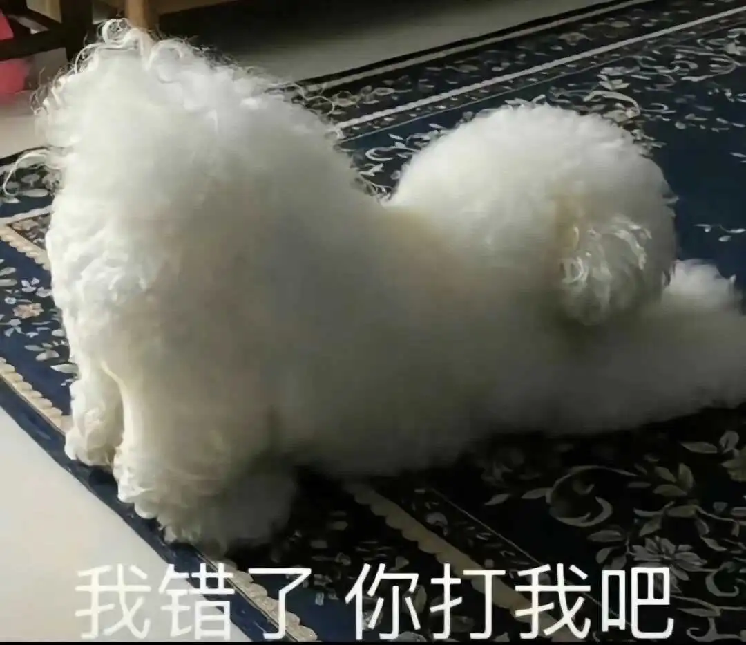 西檬之家-k8是什么？字母圈宠物扮演入门指南