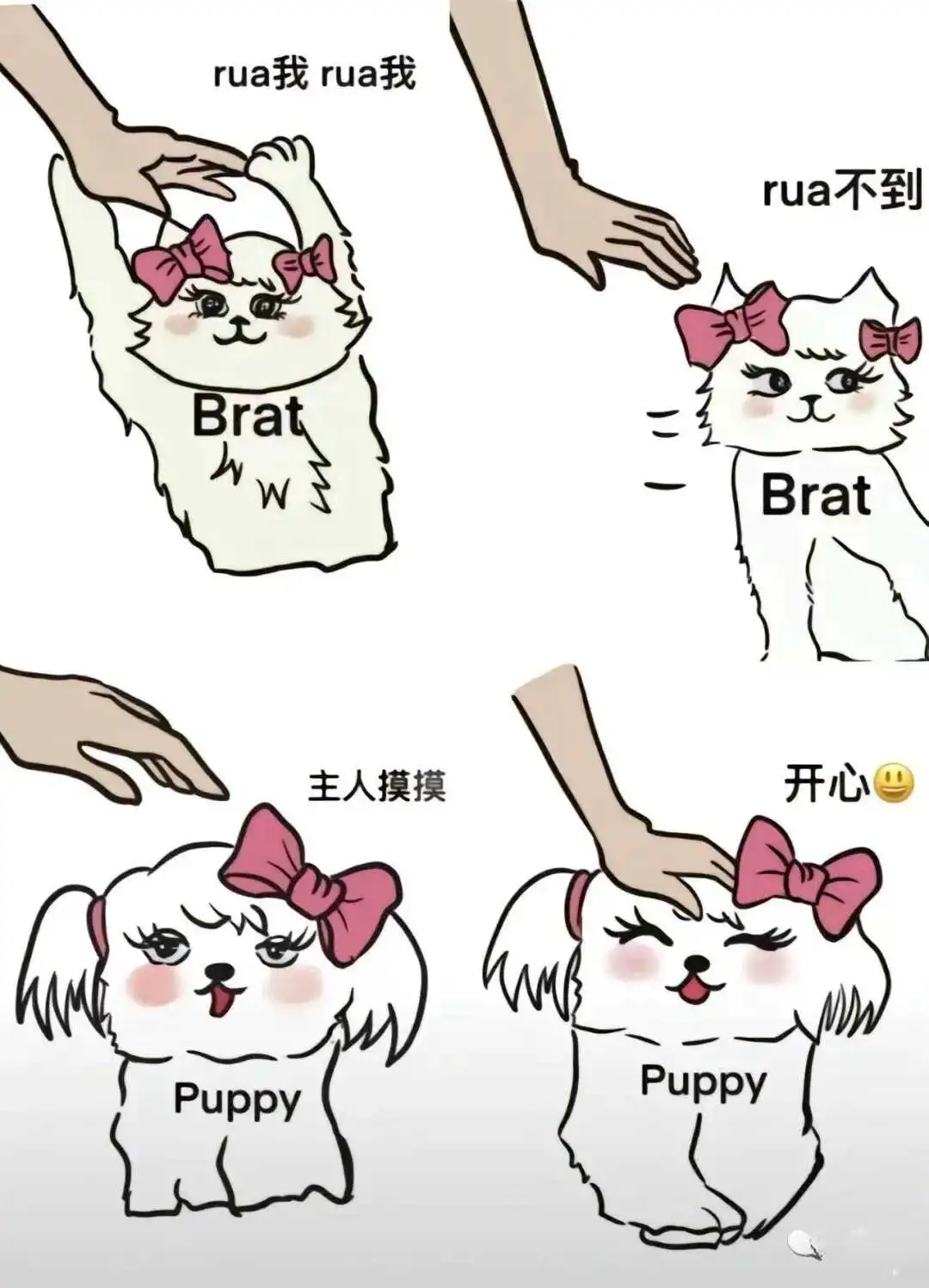 西檬之家-字母圈新人如何入圈？