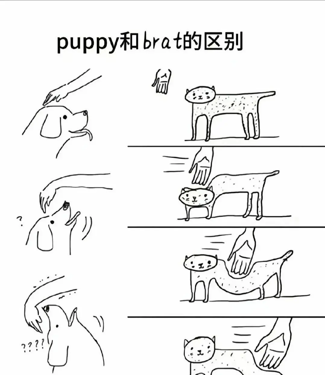 字母圈入圈 - 微信图片_2025-11-13_180940_765