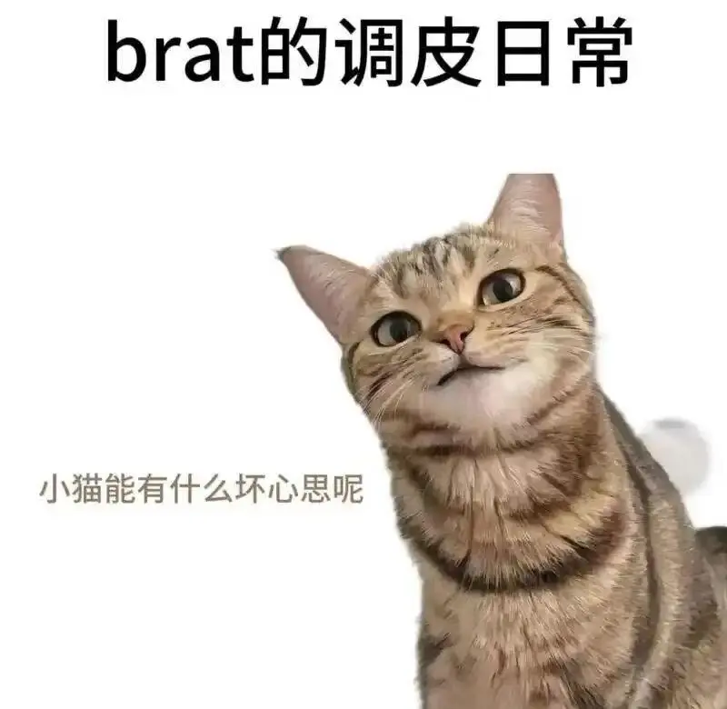 【西檬之家】浅探DT：字母圈中以言辞激发快感的Dirty Talk